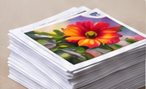 Cards and Paper by KATFAM Photo