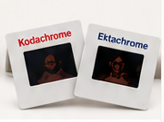 Disposable Camera & Film Development by KATFAM Photo